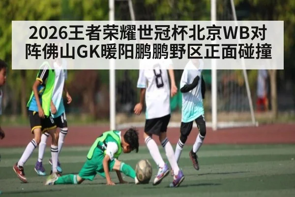 2026王者荣耀世冠杯北京WB对阵佛山GK暖阳鹏鹏野区正面碰撞